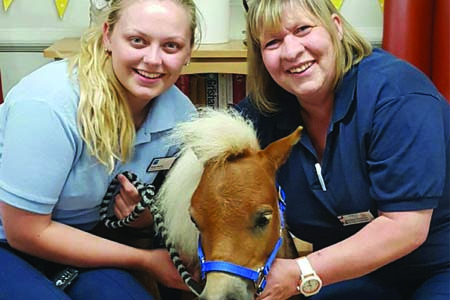 Neigh chance of long faces in Edinburgh