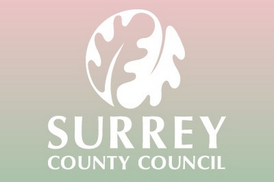 Surrey sets out plan to improve care choices for older people