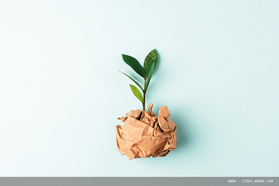 Taking bold steps towards a sustainable future
